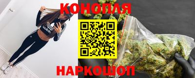 спиды Заводоуковск
