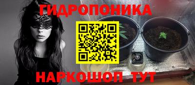 прущие крисы Заволжье